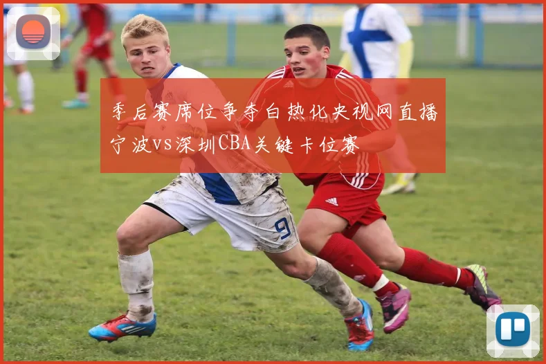 季后赛席位争夺白热化央视网直播宁波vs深圳CBA关键卡位赛